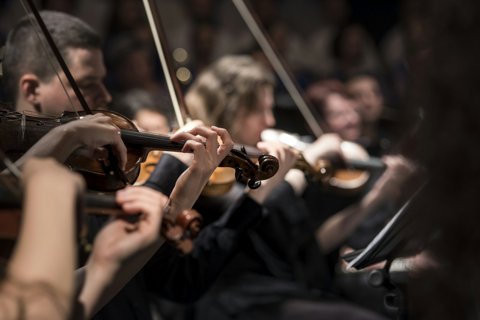 Strijkkwartet tijdens een concert in de kerk